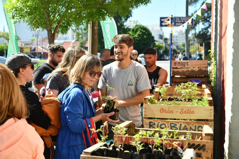 Se realizar una nueva jornada de entrega de plantines